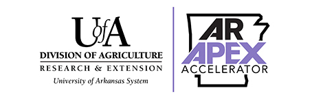 Arkansas APEX Accelerator